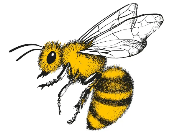Desenho estilizado de abelha